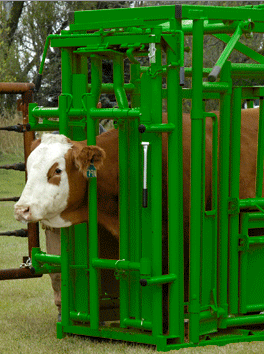 Cattle Head Gate with Neck Extender by Real Tuff